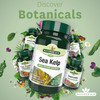 (4 Pack) - Natures Aid - Sea Kelp 187mg | 180's | 4 Pack Bundle