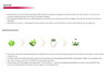 Missha Pure Source Cell Sheet Mask (Rice - 10 Sheets)