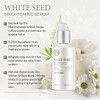The Face Shop Whiteseed Brightening Serum  Deep Skin Brightening Boost Moisturization & Pore Minimize  Skin Texture & Clarity Improvement Dullness Reducing 1.69 Fl Oz