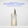 The Outset Gentle Micellar Antioxidant Cleanser - Gel Face Wash + Makeup Remover - Hydrating And Brightening - Fragrance  For Sensitive Skin - Clean Vegan Gluten  All Skin Types - 5 Fl Oz
