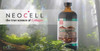 Neocell Laboratories Collagen +C Pomegranate Liquid, Pack of 2-16 oz (32 oz Total)