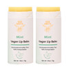 Eco Roots Tinted Lip Balm 2 Pack - Organic And Vegan Lip Moisturizer - Cruelty- Eco-Friendly - Plastic- With Compostable Packaging - Made In Usa Lip Balm Set
