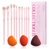 Jessup Eyeshadow Brush Set T496 Bundled With Makeup Sponge Set Sp013