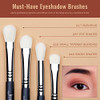 Jessup Eyeshadow Brushes T340 With Foundation Brush+ Makeup Sponge T881