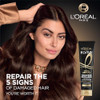 L'Oreal Paris Elvive Total Repair 5 Protein Recharge Leave In Conditioner Treatment And Heat Protectant 5.1 Ounce