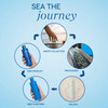 Aquage Color Protecting Shampoo Contains AlgaePlex Marine Botanicals to Help Seal In Color and Provide Gentle Cleansing