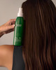 SURFACE Hair ALL IN Leave In Conditioner - Detangles Controls Frizz & Strengthens for All Hair Types- 6 fl oz