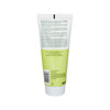 Freeman Exotic Blends Detoxifying Japanese Matcha Cream Facial Mask 6 fl.oz./ 175 mL Tube
