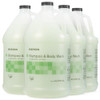 McKesson Body Wash and Shampoo - 1 Gallon Bulk Refill Full Body Wash with Aloe Summer Rain Scent - Sensitive Skin & Hair 2‑in‑1