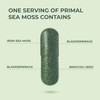 Primal Harvest Sea Moss Capsules with Bladderwack and Irish Sea Moss, Chlorella, Broccoli Seed Extract Plant-Based Supplements for Adults
