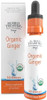 Buried Treasure Ginger Drops Made With Organic Ginger Root For Digestive Support Upset Stomach Settle Drops No Sugar Alcohol Versatile Use For Ginger Tea Or Direct Consumption 30 Servings