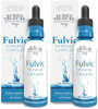 Buried Treasure Fulvic Mineral Drops “ 295Mg Trace Minerals Ionic Fulvic Acid Supplement For Hydration Energy & Electrolyte Support Vegan Nongmo 2 Fl Oz Liquid Drops