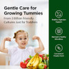 Flora Toddler'S Probiotic Supports Digestive Health Daily Probiotic Powder For Children Ages 1“3 Includes Bifidobacterium Infantis Vegetarian & Gluten Keep Chilled 2.64 Oz.