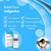 Guna Digestion Plus Homeopathic Digestive Remedy Helps Digestion Relieves Heartburn And Sour Stomach 1 Ounce