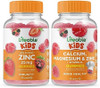 Lifeable Zinc 25Mg Kids + Calcium Magnesium & Zinc Kids Gummies Bundle Great Tasting Vitamin Supplement Gluten Gmo Chewable Gummy