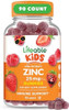 Lifeable Zinc For Kids 25Mg Great Tasting Natural Flavored Zinc Gummies Gluten Vegetarian Non Gmo Zinc Supplements Kids Zinc For Immune Support 90 Gummies