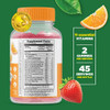 Lifeable Zinc Kids + Multivitamin Kids Gummies Bundle Great Tasting Vitamin Supplement Gluten Gmo Chewable Gummy