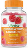Lifeable Phosphatidylserine (Ps) + Collagen & Biotin Gummies Bundle Great Tasting Vitamin Supplement Gluten Gmo Chewable Gummy