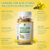 Lukaree (2 Pack) 9 In 1 Mullein Gummies For Lung Cleanse & Lymphatic Drainage Extra Strength Mullein Leaf Extract W/Quercetin Bromelain Elderberry & Marshmallow For Respiratory & Immunityvegan120 Count