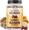 Smnutrition Mushroom Gummies For Adults With Lions Mane Turkey Tail Reishi Cordyceps Chaga & Maitake Support Cognitive Function & Immune Health Raspberry Flavor 60Ct