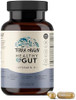 Terra Origin Healthy Gut With Vitamin D 5000 Iu 60 Capsules Gut Health Supplements For Men And Women Supports Digestion And Gas