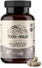 Terra Origin Healthy Mushroom Complex Supplement 90 Capsules Reishi Lions Mane Changa Cordyceps Maitake Immune & Nootropic Brain Support Usda Organic Non Gmo Vegan