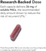 Theralogix Theracran One Cranberry Capsules 90Day Supply Supplement For Men & Women To Support Urinary Tract Health 36Mg Soluble Pacs Per Capsule Nsf 90 Count (Pack Of 1)