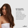 WELLBEL Gelée Detox Shampoo – pH-Balanced Scalp Detox Gently Exfoliates & Removes Buildup Dermatologist-Tested Color-Safe Hydrating & Strengthening Formula for Healthy Bouncy Hair