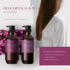 Theorie Helichrysum & Plum - Nourishing Conditioner - For Dry & Over Processed Hair 800mL
