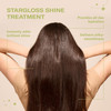 DAE Stargloss Shine Treatment - Adds Shine Hydrates Tames Frizz & Smooths 6 oz