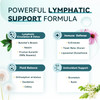 iMATCHME Lymphatic Drainage Supplements for Lymph System Support 60 Capsules