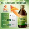 iMATCHME Soursop Bitters Liquid with Black Seed, Turmeric & Moringa-Pure 15 in 1 Herb Soursop Tea for Immune System, Digestive & Gut Health, Antioxidant,Skin Health Support 8 fl oz