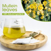 iMATCHME Mullein Leaf Tea, Mullein Tea Bags for Lung Cleanse, Respiratory Support and Mucous Membranes, Herbal Tea Caffeine Free, Non-GMO, 40 Tea Bags