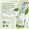Nature's Trove L-Theanine 200mg Super Value Size - 365 Vegetarian Capsules