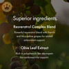 NAOMI Italian Citrus Bergamot 500mg + Resveratrol, Award-Winning Cardiologist Dvlpd, Supports Normal Cholesterol & Healthy Cellular Function, 7 Key Polyphenols, Resveratrol & Olive Leaf, 30-Day Supply - Small, 30 Count