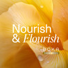 Boka Fluoride Free Toothpaste Nano Hydroxyapatite Toothpaste Appropriate for Sensitive Teeth - for Adult Kids Oral Care - Probiotics - Citrus Mint 4 Fl Oz 1Pk US Manufactured