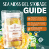 TrueSeaMoss Sea Moss Gel – Wildcrafted Seamoss, Fruits & Jarred Vegetables – Mango - 16 Fl Oz
