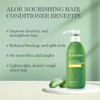 Aloderma Aloe Vera Hair Care Set: Volumizing Shampoo Nourishing Conditioner