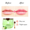 Eakroo 10 Pcs Bee Lip Balm Honey Pot Strawberry Watermelon Apple Lime Cherry Mint Coconut Aloe Grapes & Peach Flavors Honey Lip Balm Bulk Moisturizing Lip Mask Overnight Mothers Day s