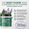Kesmedik Pure Tea Tree Oil Body & Foot Scrub Himalayan Salt Exfoliating Scrub With Stem Cells & Shea Butter Antifungal Defense Acne Support Itchy Skin Relief Removes Dead Skin & Rough Patches