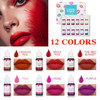 Qiufsse 12 Colors Diy Lip Gloss Pigment Set Liquid Pigment For Lip Gloss Natural Multifunctional High Color Rendering Red Warm Color Pigment For Lip Gloss Making-Set A