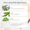 Ursa Major Natural Deodorant - Forest Fix | Aluminum-Free Non-Staining And Cruelty-Free | 2.6 Ounces