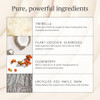 Ursa Major Alpine Rich Cream | Deeply Hydrating & Moisturizing Natural Face Lotion | Supports Skin Barrier And Targets Fine Lines | Vegan Non-Toxic Cruelty-Free | 1.69 Ounce