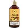 Wow Skin Science Moroccan Argan Oil Shampoo - Sulfate Free Moisturizing Shampoo For Dry Damaged Hair - For Women & Men