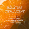 DAE Cactus Fruit 3-In-1 Styling Cream - Smooth Styles Prep Shiny Blowouts Defines Curls