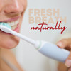 Red Seal Fluoride Free Whitening Toothpaste - Mint - Vegan Friendly Cruelty Free No Synthetic Colors or Artificial Flavors NATRUE Certified Natural Ingredients Paraben & SLS Free 3.53 oz