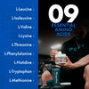 Evogen Amino K.E.M. - EAA & BCAA Powder Pump Volumizer | BCAAs Amino Acids Supplement for Blood Flow Muscle Growth & Hydration | Citrus Candy | 30 Servings