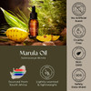 Gya Labs Marula Oil - 1 Fl Oz - Carrier Oil for Hair, Skin, Face, Scalp & Body Massage