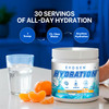 Evogen Hydration - Electrolytes Powder | Sugar-Free Electrolyte Powder Supplement for Hydration Energy and Recovery | Coconut Water B Vitamins Potassium | Tangerine | 30 Servings