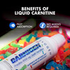 Evogen Carnigen Premium L Carnitine Liquid – L Carnitine 3000 Supplement | L Carnitine Supplement for Fat Metabolism & Recovery | Acetyl L-Carnitine | Caffeine Free | Sour Gummies | 31 Servings